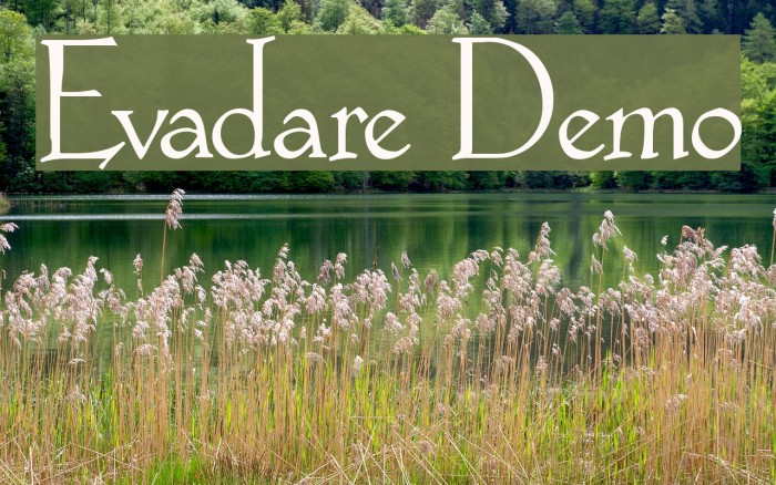 Evadare Demo Font examples