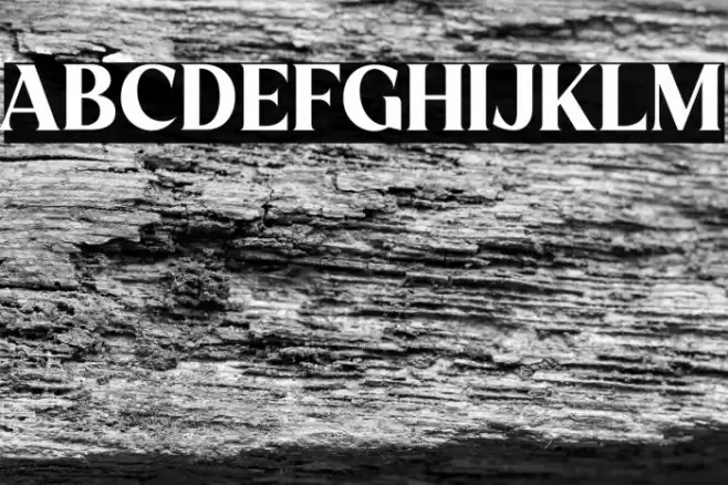 Evagrande Font examples