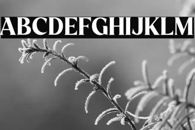 Evagrande Font examples