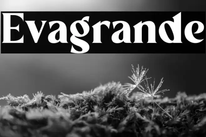 Evagrande Font examples