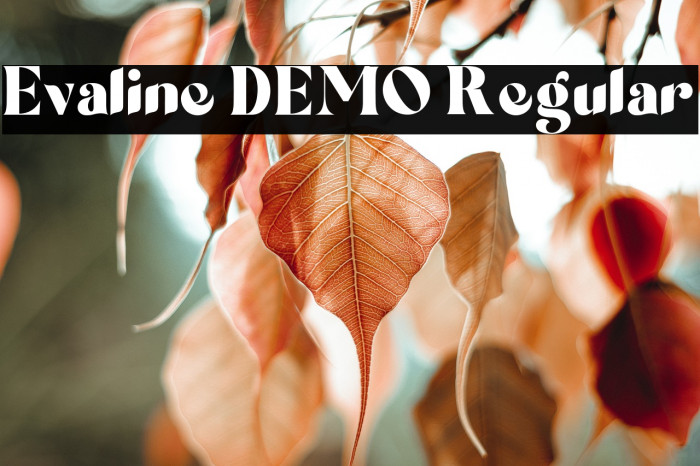 Evaline DEMO Regular Example 1