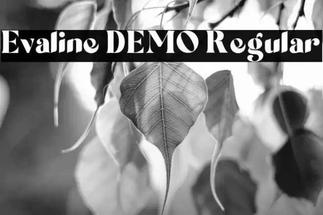 Evaline DEMO Regular Шрифта examples