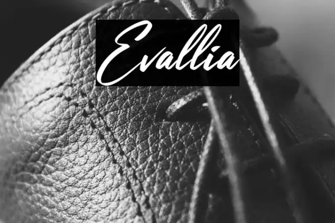 Evallia Example 1