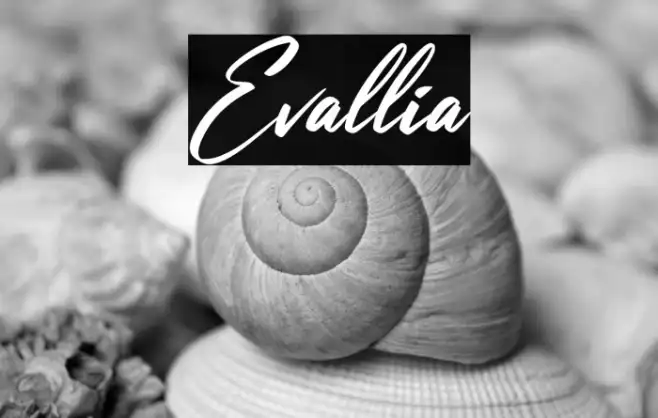 Evallia Example 2