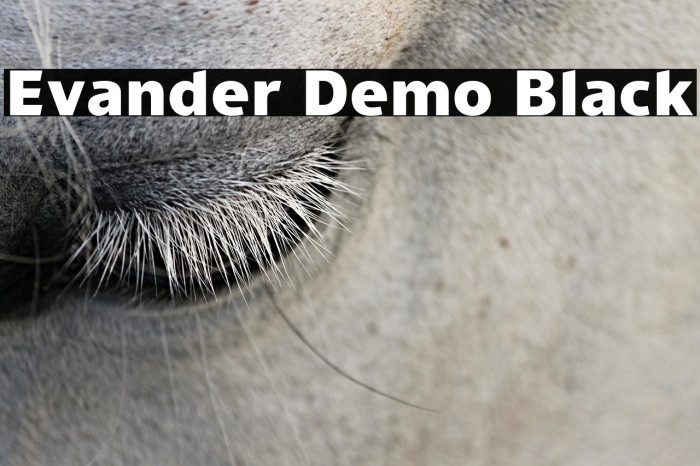 Evander Demo Black Example 1