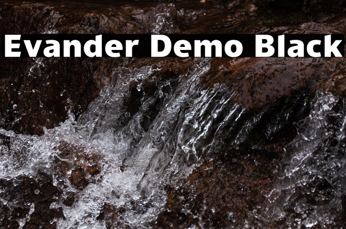 Evander Demo Black Example 3