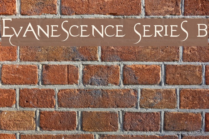Evanescence Series B Font examples
