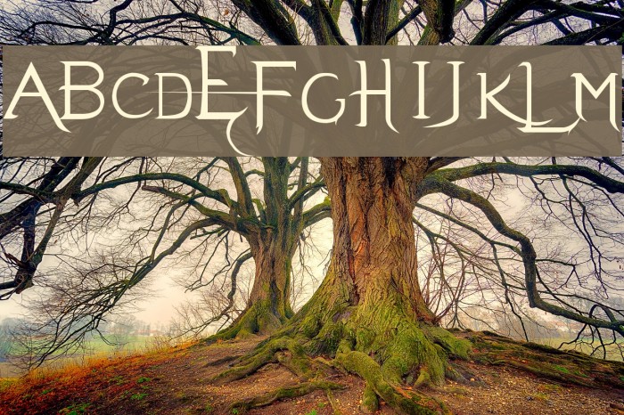 Evanescent Font examples