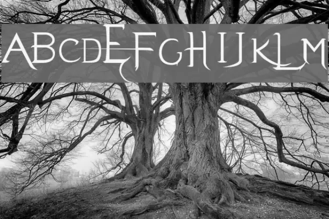 Evanescent Font examples