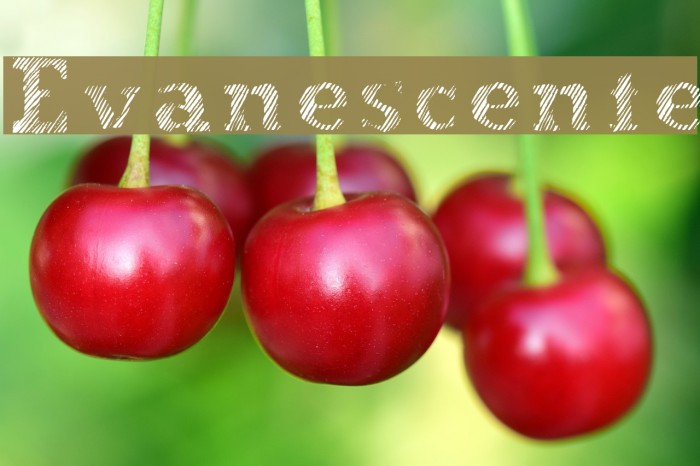 Evanescente Example 2