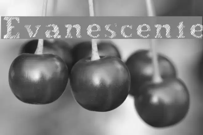 Evanescente Font examples