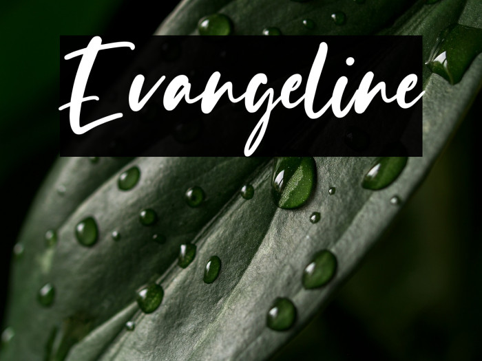 Evangeline Example 1