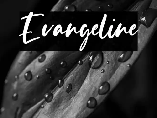 Evangeline Font examples