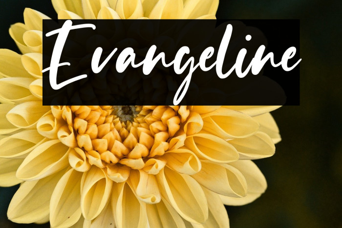 Evangeline Example 2