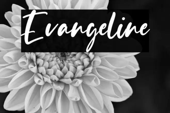 Evangeline Font examples