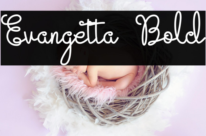 Evangetta Bold Example 1