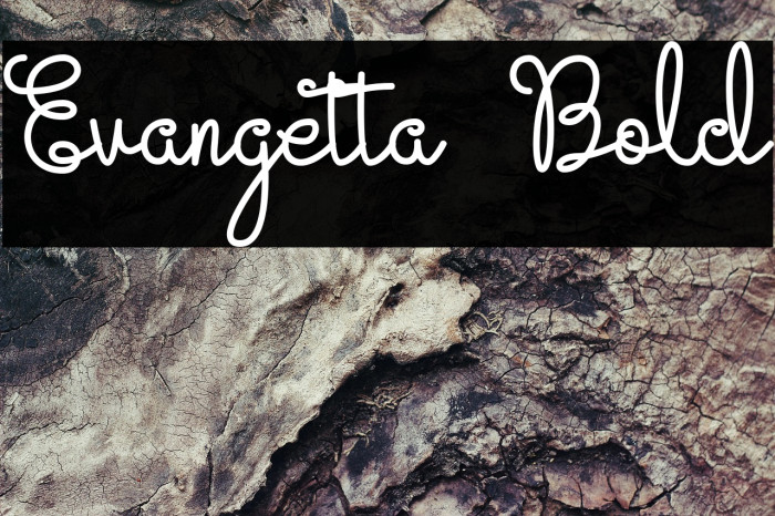 Evangetta Bold Example 2