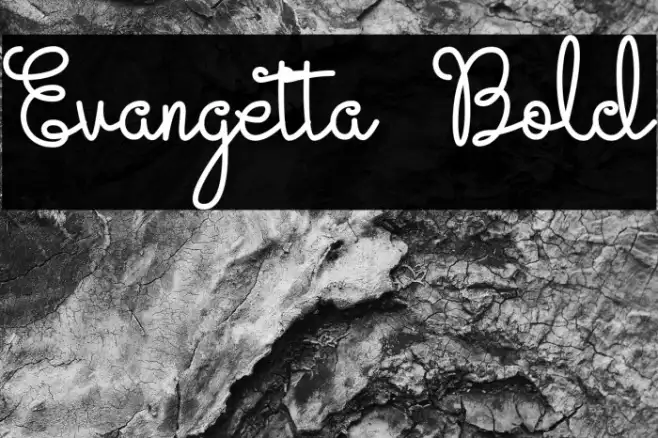 Evangetta Bold Example 2