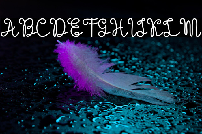 Evangetta-Bold Example 1