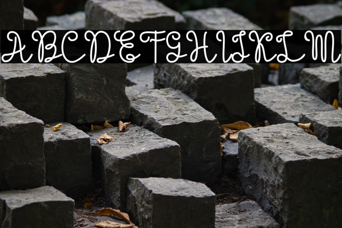 Evangetta-Bold Example 3