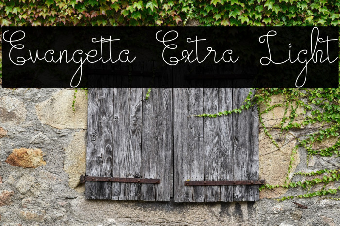 Evangetta Extra Light Example 2