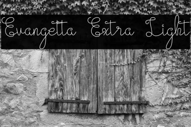 Evangetta Extra Light Example 2