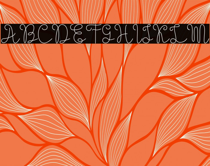 Evangetta-ExtraLight Example 2