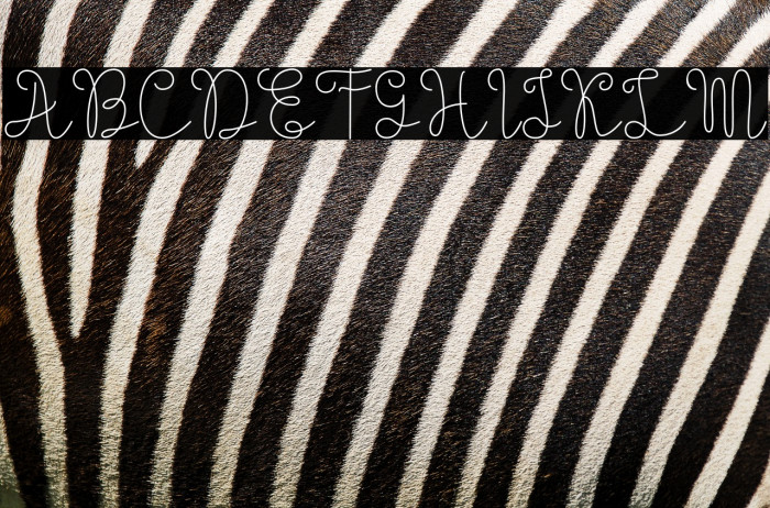 Evangetta-ExtraLight Example 3