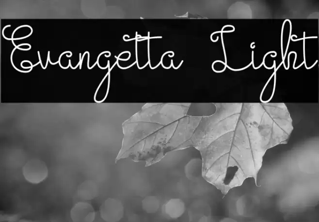 Evangetta Light Font examples