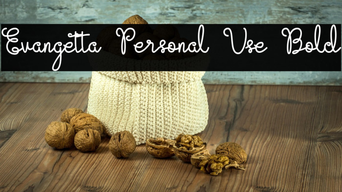 Evangetta Personal Use Bold Example 1