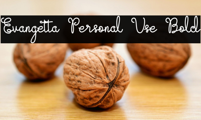 Evangetta Personal Use Bold Example 3