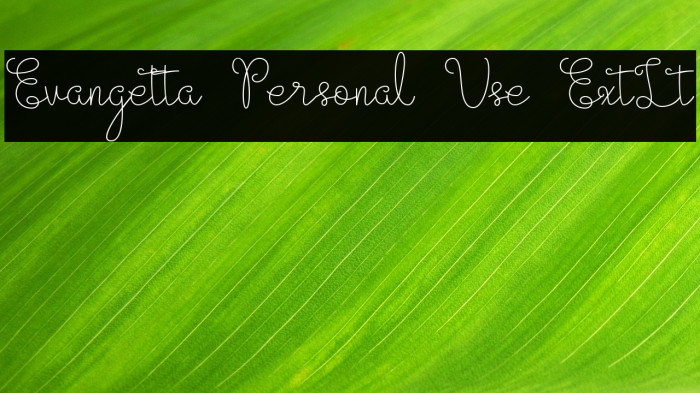 Evangetta Personal Use ExtLt Example 2