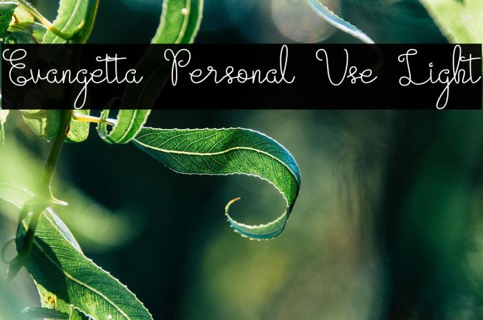 Evangetta Personal Use Light Example 1
