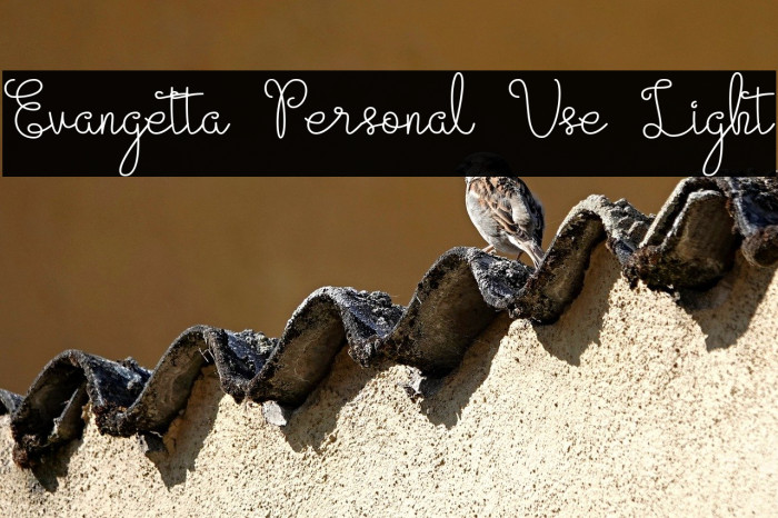 Evangetta Personal Use Light Example 2