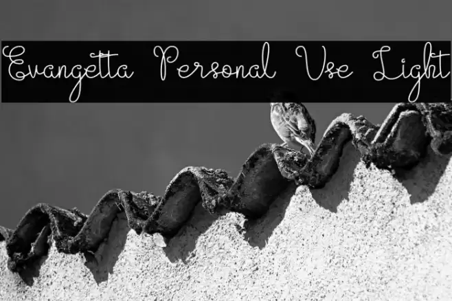 Evangetta Personal Use Light Font examples