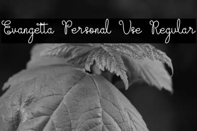 Evangetta Personal Use Regular Font examples