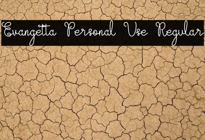 Evangetta Personal Use Regular Example 2