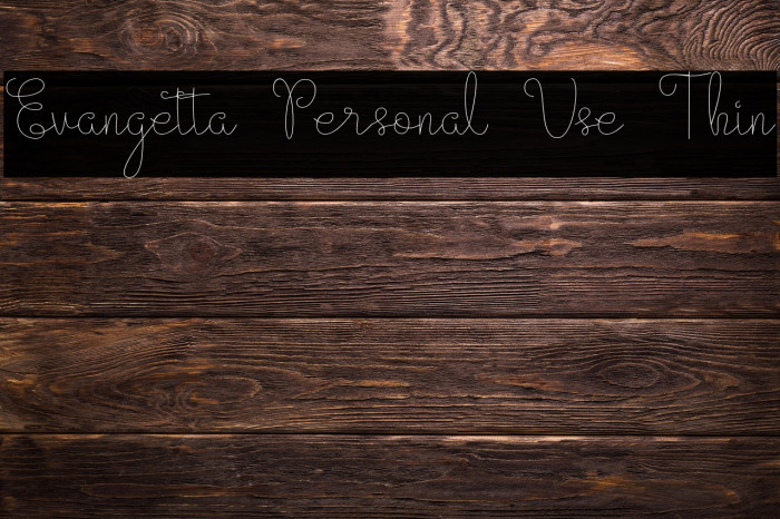 Evangetta Personal Use Thin Example 2