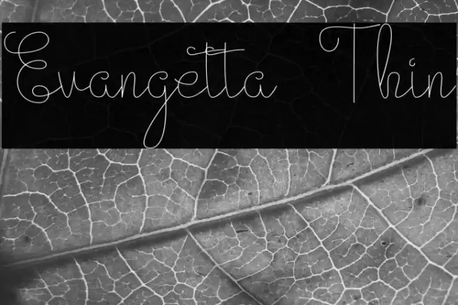 Evangetta Thin Font examples