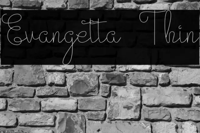 Evangetta Thin Font examples