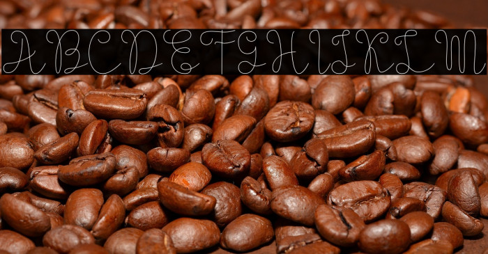 Evangetta-Thin Example 2