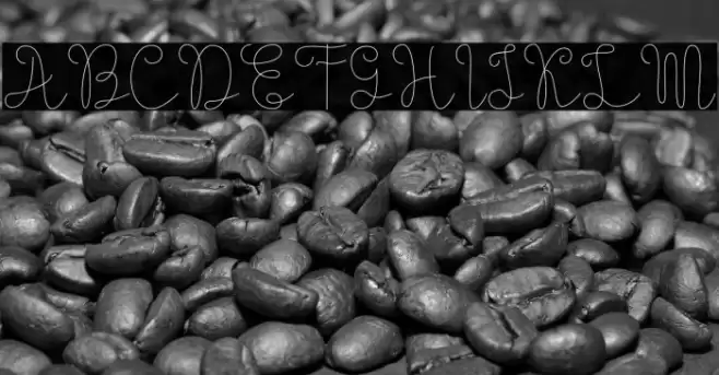 Evangetta-Thin Font examples