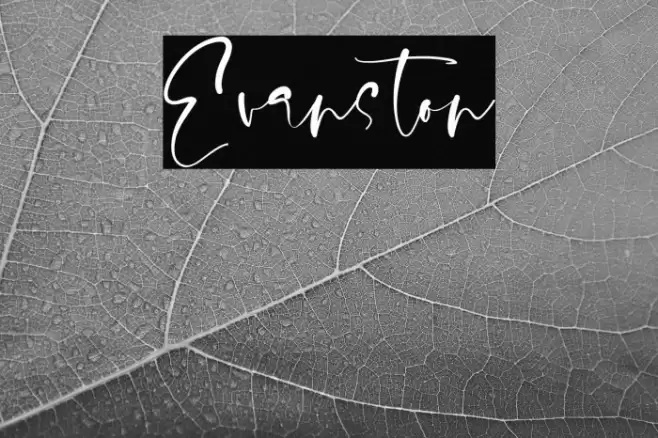 Evanston Font examples