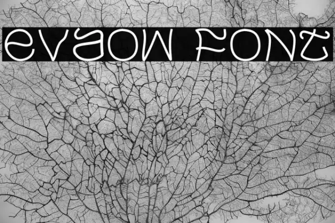 Evaow Font examples