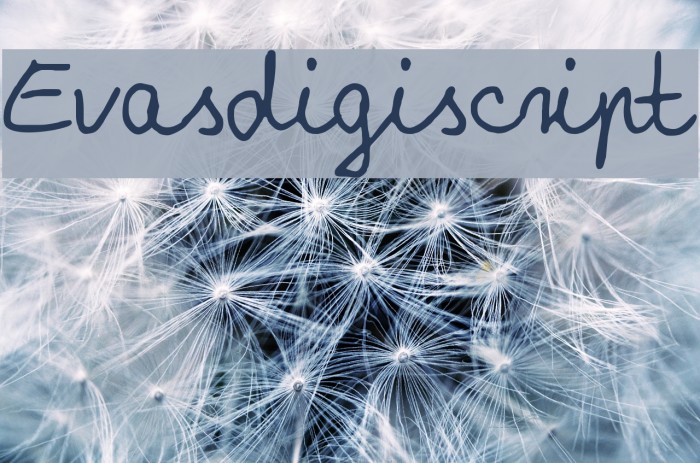 Evasdigiscript Font examples