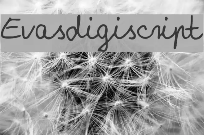 Evasdigiscript Example 1