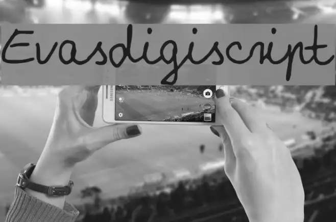 Evasdigiscript Example 2