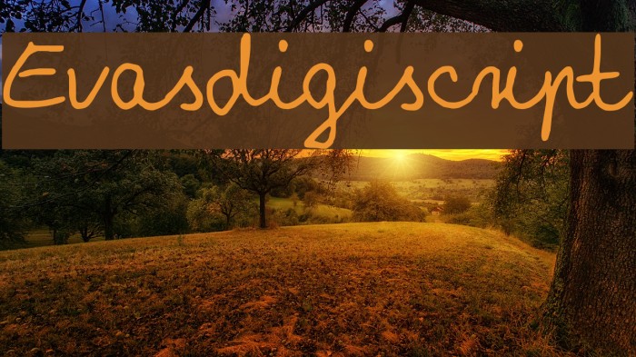 Evasdigiscript Font examples