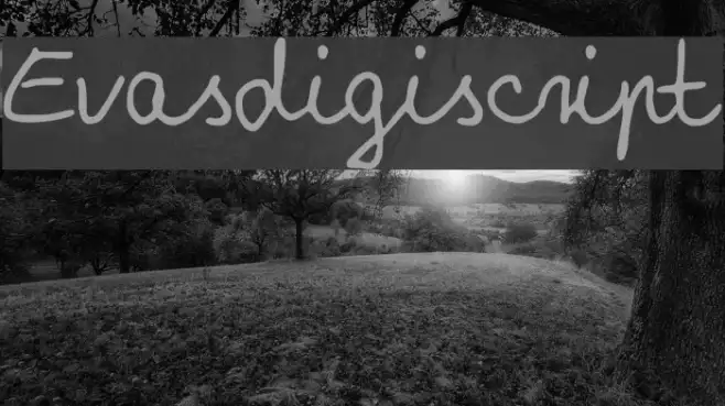 Evasdigiscript Example 3