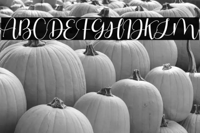 Eve Adam Font examples